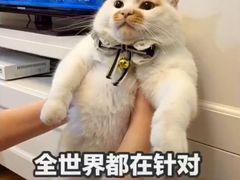 -丹阳眼镜总店(观前街店)