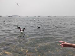 -银沙滩浴场