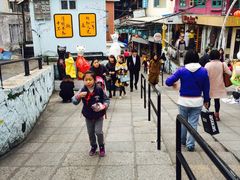 -猫咪博物馆(顶澳仔猫街店)