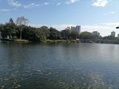 -荔湾湖公园