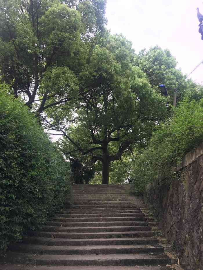 云岫寺-"画样的风景,就是走走有点累,不过就当健身."-大众点评移动版