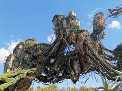 -奥兰多迪士尼动物王国乐园