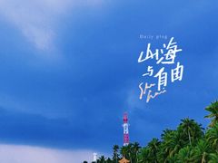 -东郊椰林
