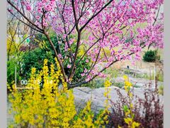 -临汾涝洰河生态公园
