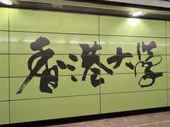 -香港大学