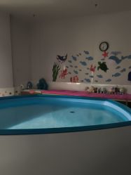 -海豹航航水育游泳中心(芳园里店)