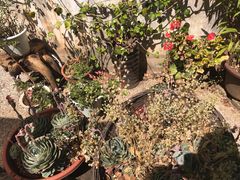 -浔岚云舍mist静谧观景美宿(丽江古城店)