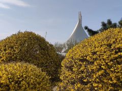 -丁香湖公园
