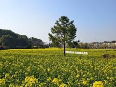 -高淳老街土菜馆(迎薰门店)