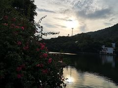 -广州市干部健康管理中心