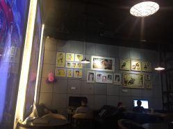 点击看大图 -鱼映像摄影·珍藏级影像品牌