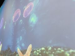 -二虎原味烧烤