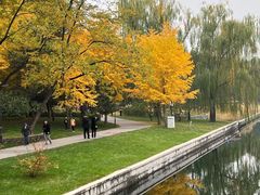 -元大都城垣遗址公园