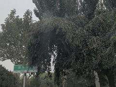 -艾提尕尔清真寺