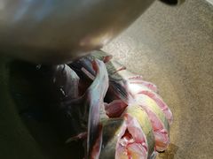 -鲜潭蒸汽石锅鱼(五道口购物中心店)