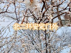 -北京明城墙遗址公园