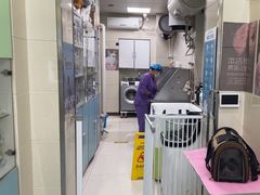 -北京观赏动物医院·24小时大型综合·猫专科·异宠专科