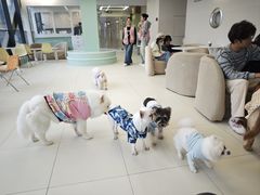 -怪兽屋·羊驼·猫咖·狗咖(俊华广场店)