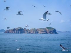 -海驴岛(荣成市)