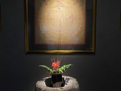 -觀芷隐轩