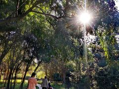 -长春公园(普阳街道)