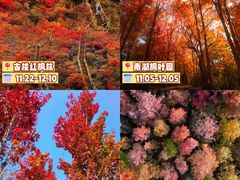 -龙湖重庆时代天街