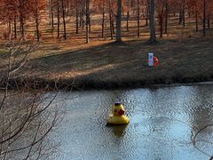 -黄海国家森林公园