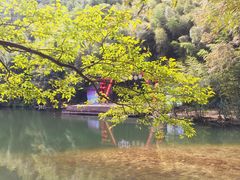 -祁门牯牛降观音堂风景区