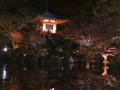 -醍醐寺
