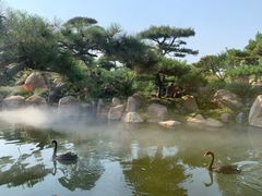 -罗红摄影艺术馆