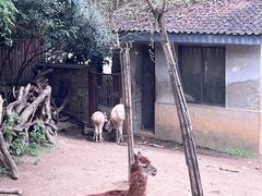 -杭州动物园