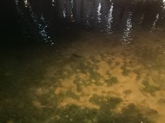 -四海公园(南山区)
