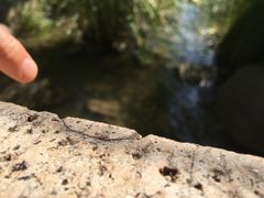 -暨阳湖生态园