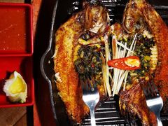 -雀舞云南菜(天津天河城购物中心店)