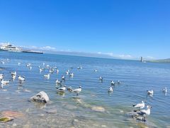 -青海湖国家重点风景名胜区