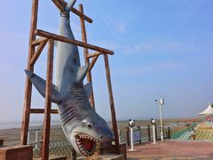 -刘家湾赶海园