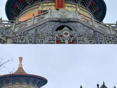 -铁山坪森林公园