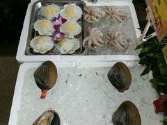 -蚝专家(北滘店)