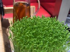 -好彩猪肚鸡(正弘城店)
