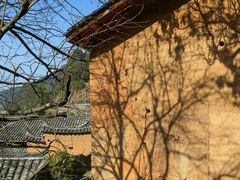 -杨家堂村