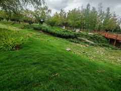 -汉长安城未央宫国家考古遗址公园