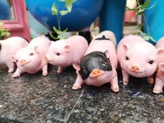 -小猪找肉肉脯干(鼓浪屿店)
