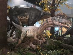 -湖南省地质博物馆