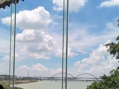 -八仔大富楼·河鲜(西江店)