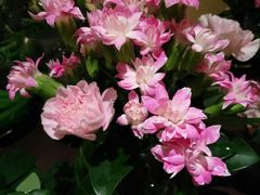 -野猫娱乐空间·酒吧·KTV(南屏店)