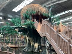 -南宫五洲植物乐园