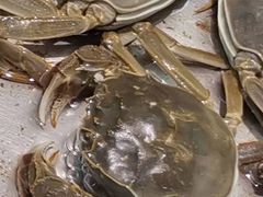 -喜洋洋蟹庄(阳澄湖店)