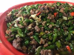 -东吴霸王兔(松青路店)