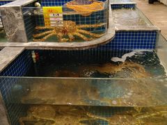 -骏莱海鲜鱼港(五角场店)