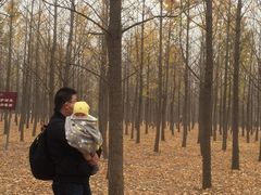 -汉景帝阳陵博物院